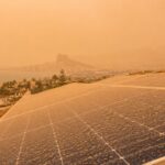 Rooftop solar panels on a sunny day overlooking a coastal town with palm trees in the distance.